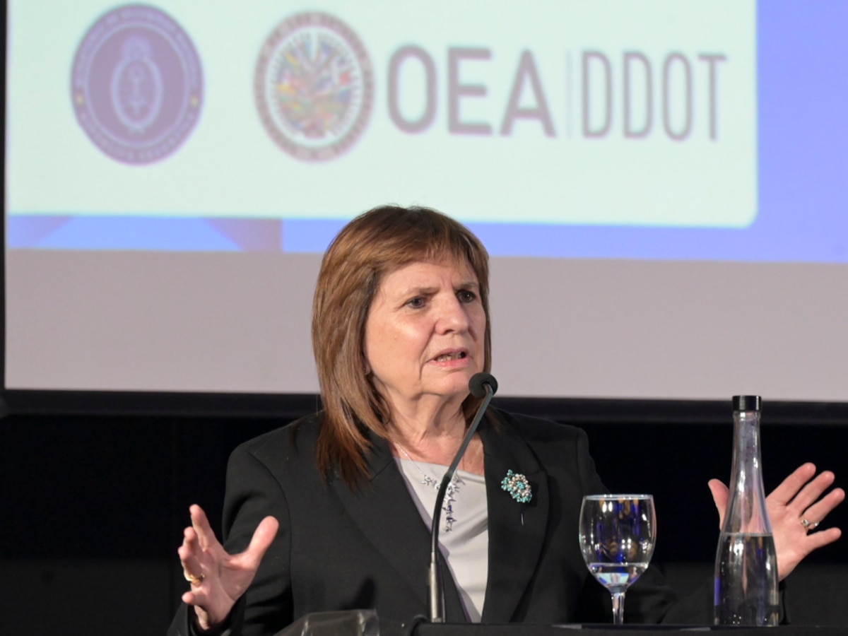 Redes sociales bajo la mira: Bullrich lanza protocolo con agentes encubiertos