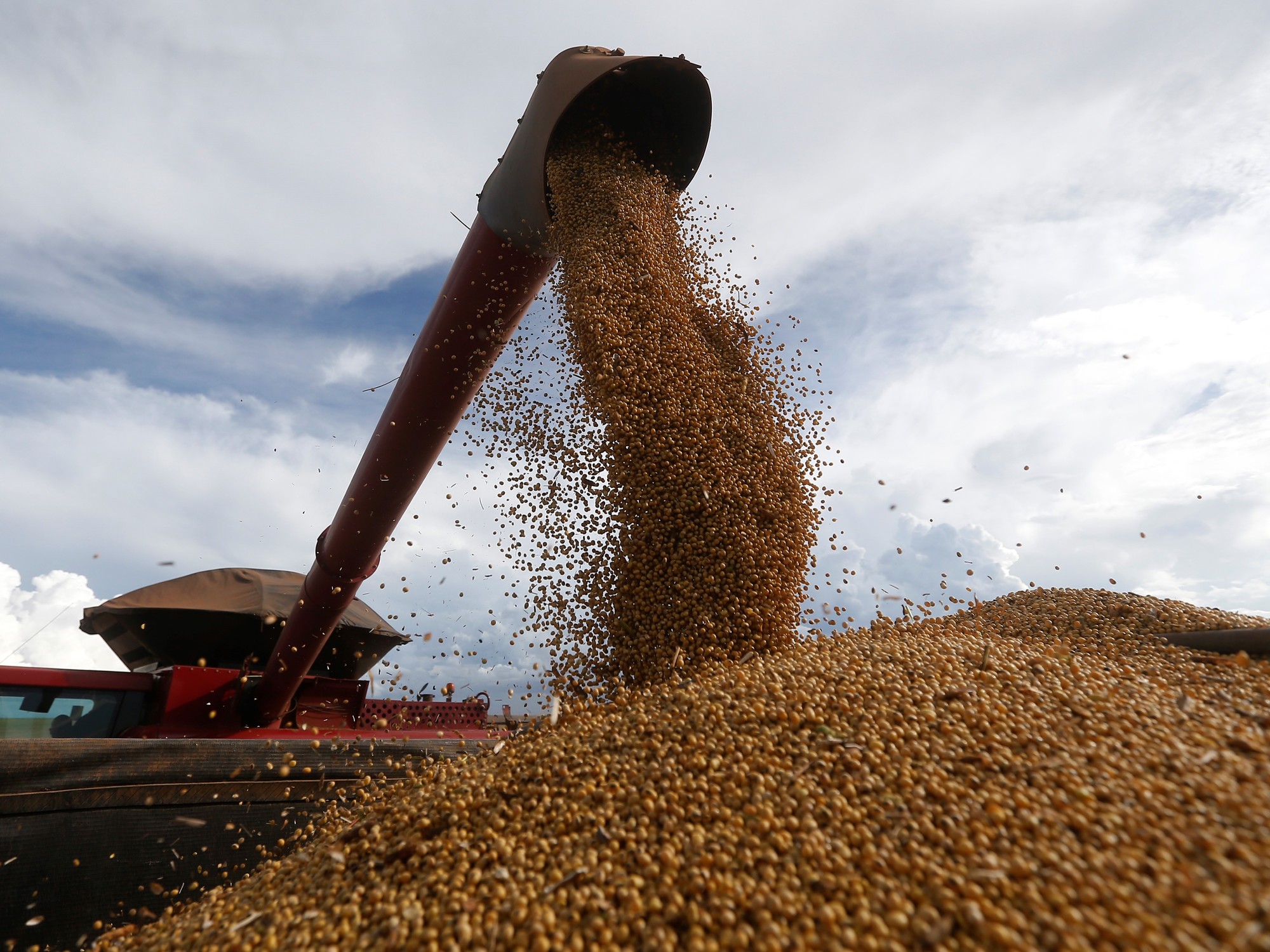 Menores precios internacionales limitaron la baja de retenciones