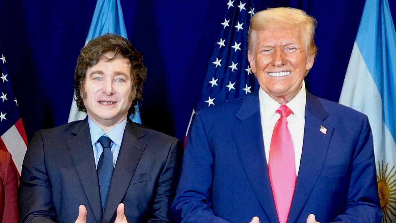 image preview(placeholder)