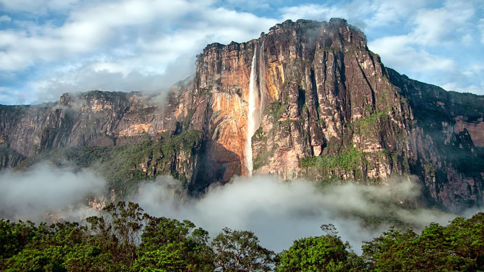 image preview(placeholder)