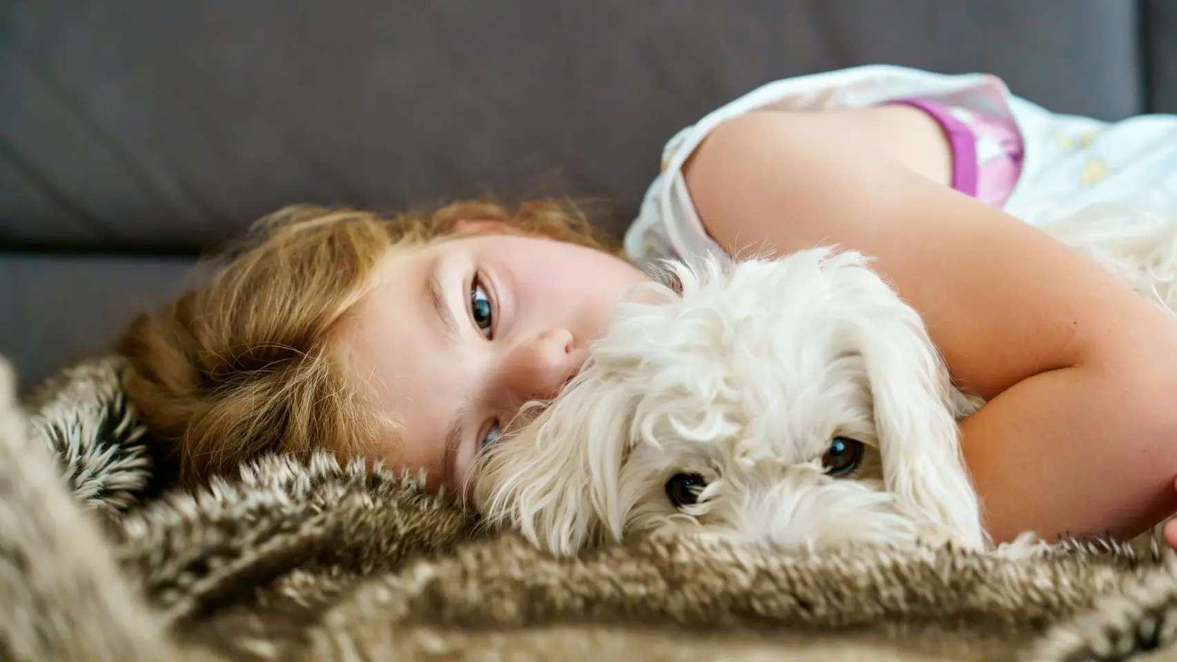 Por qué tu cerebro ve a tu perro como a un niño