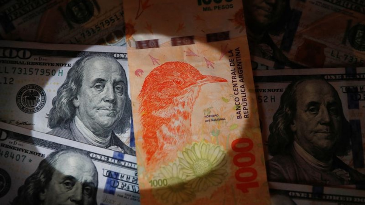 image preview(placeholder)