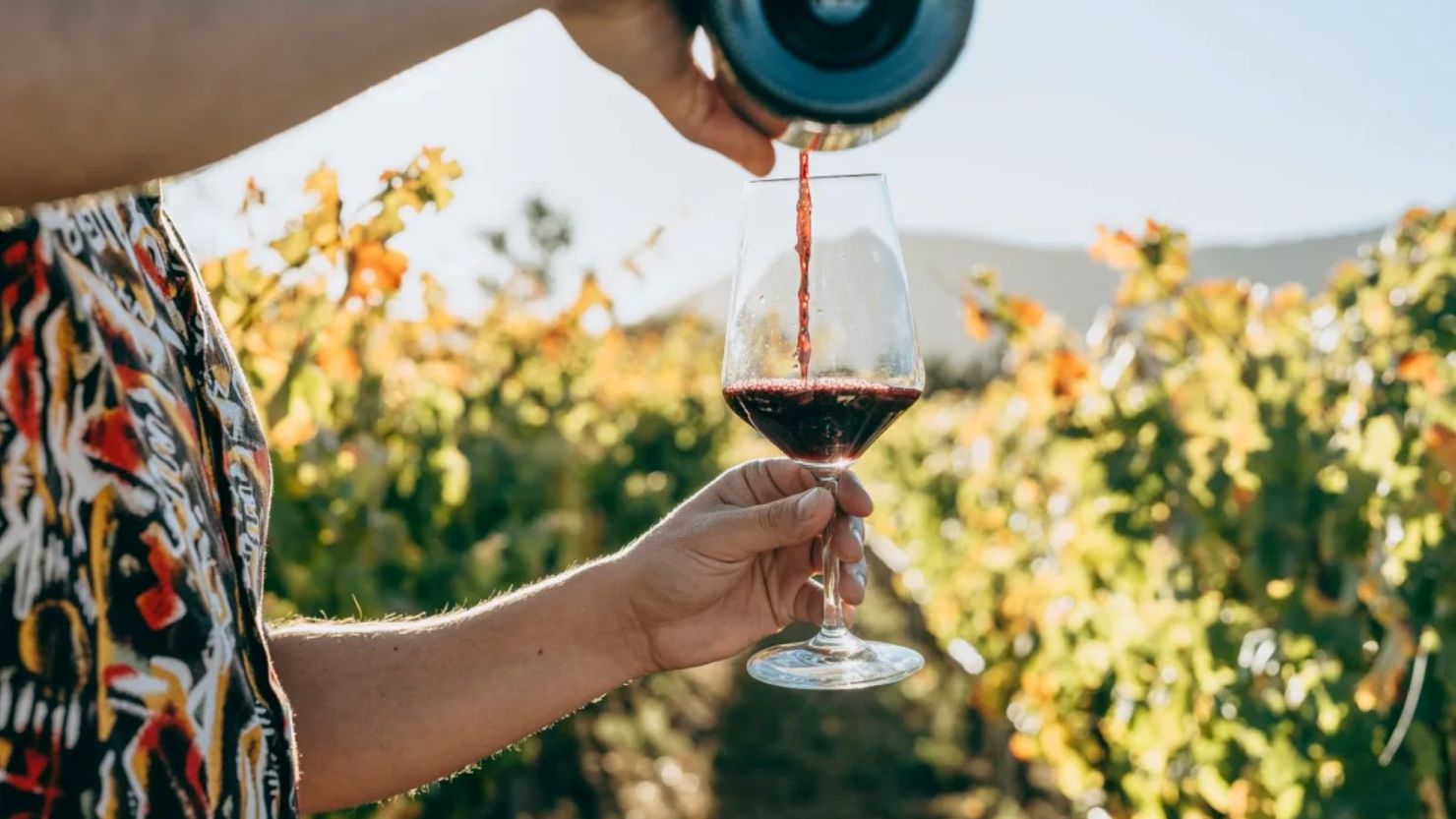 Nuevos estudios cuestionan el mito del vino y el corazón sano