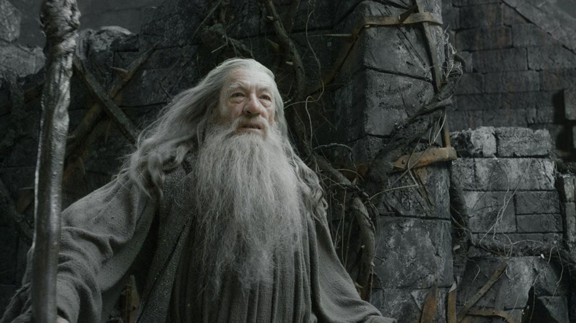 image preview(placeholder)