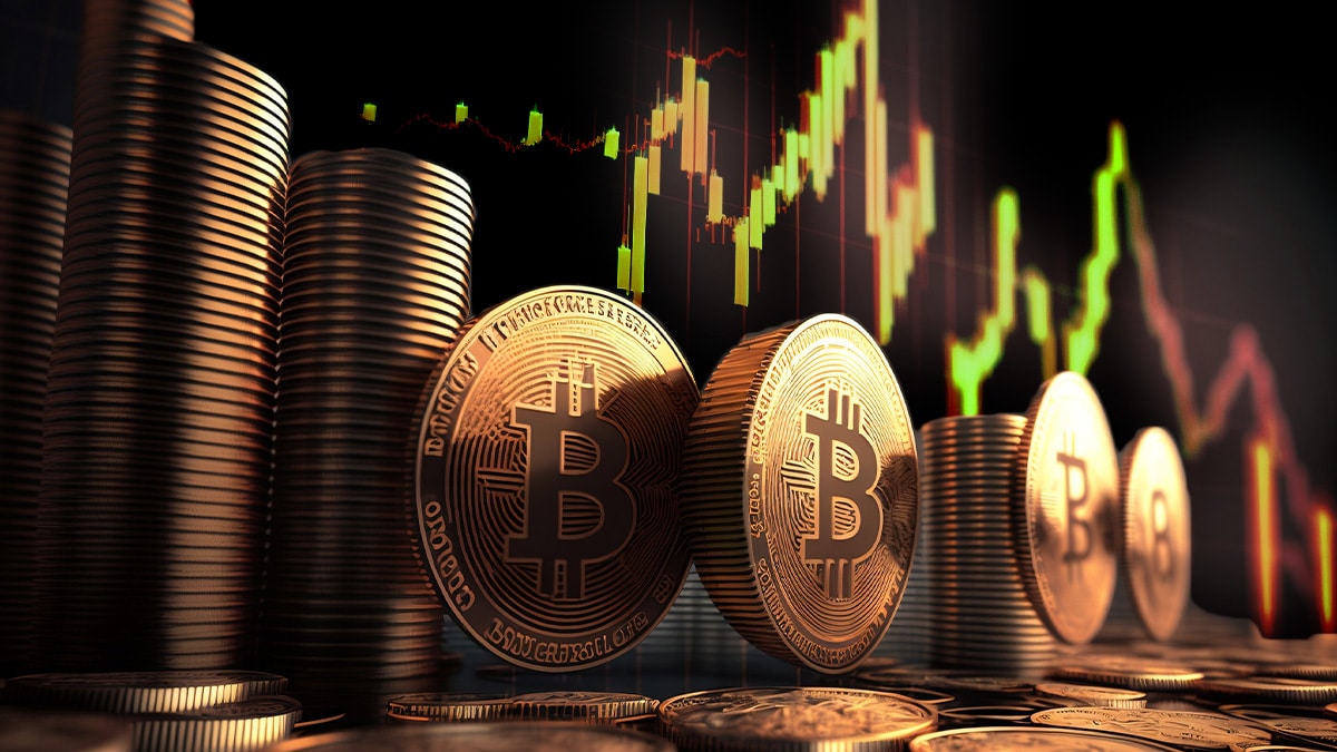 image preview(placeholder)