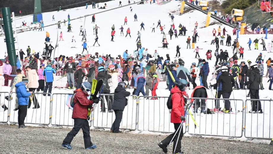 image preview(placeholder)