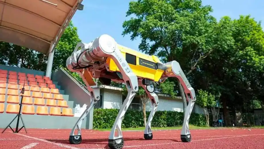 image preview(placeholder)