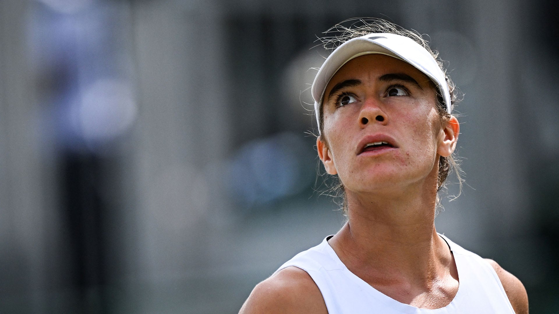 image preview(placeholder)