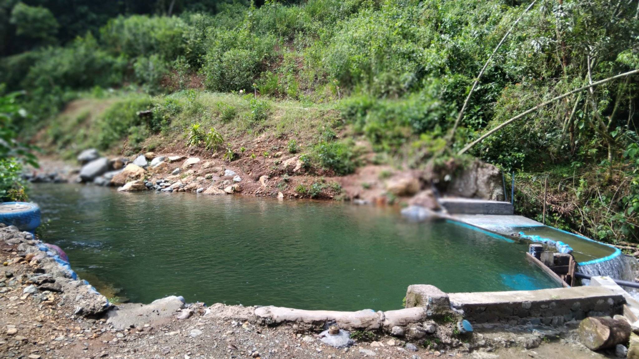 image preview(placeholder)