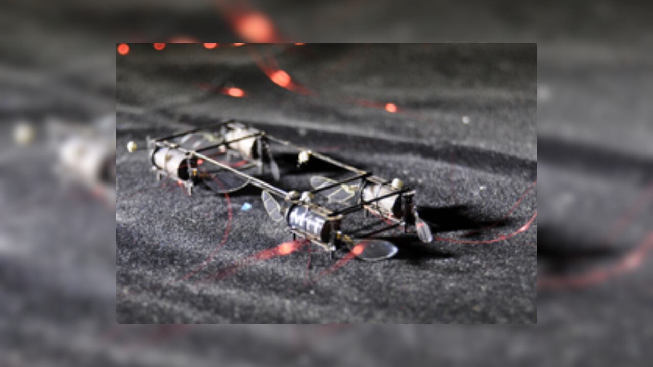 image preview(placeholder)