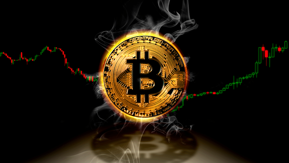 image preview(placeholder)