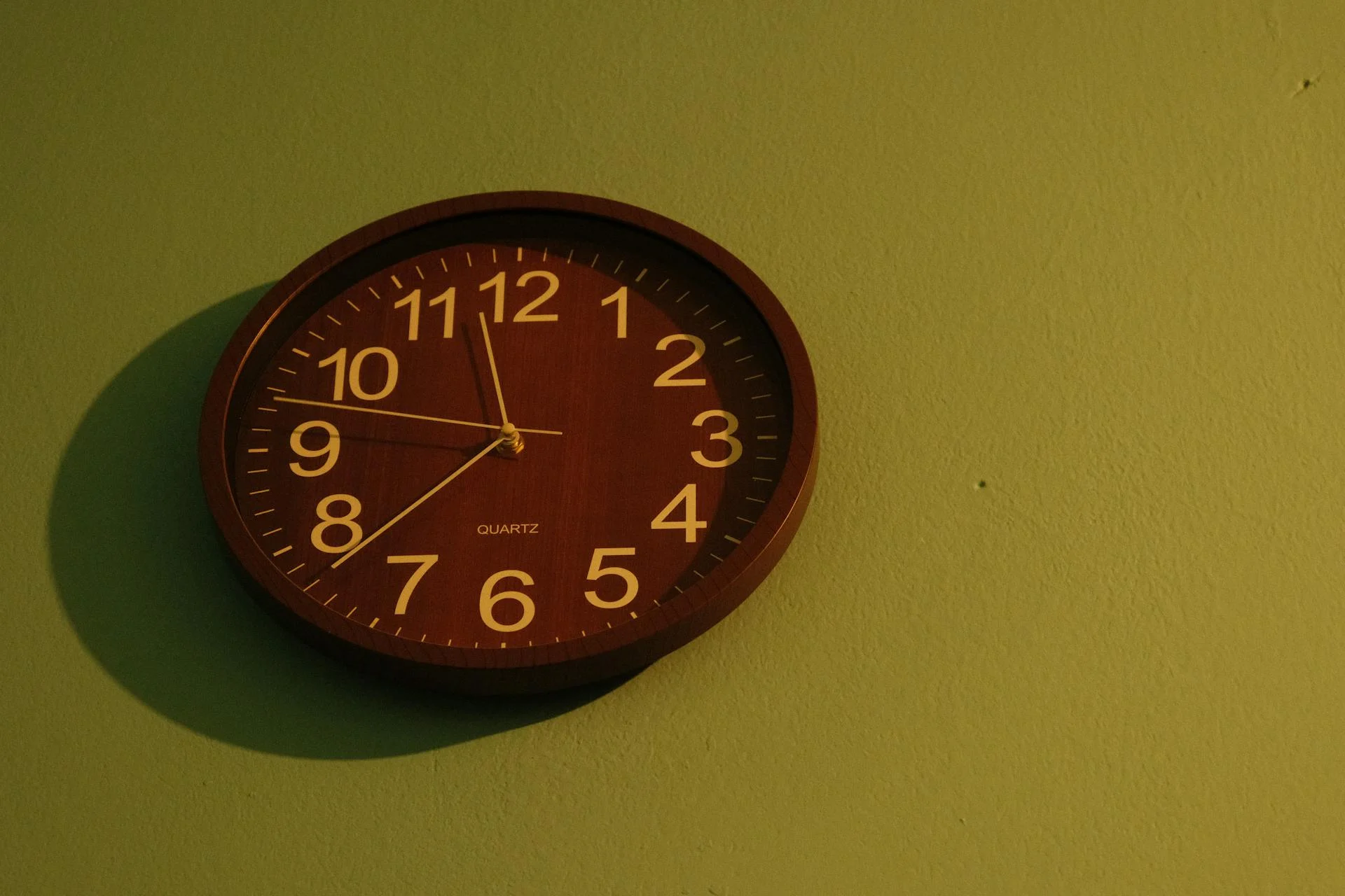 image preview(placeholder)