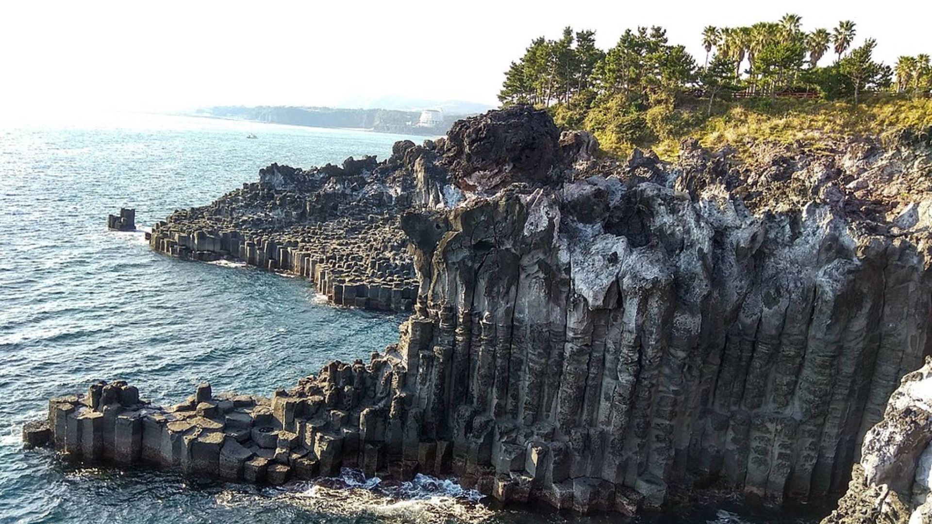 image preview(placeholder)