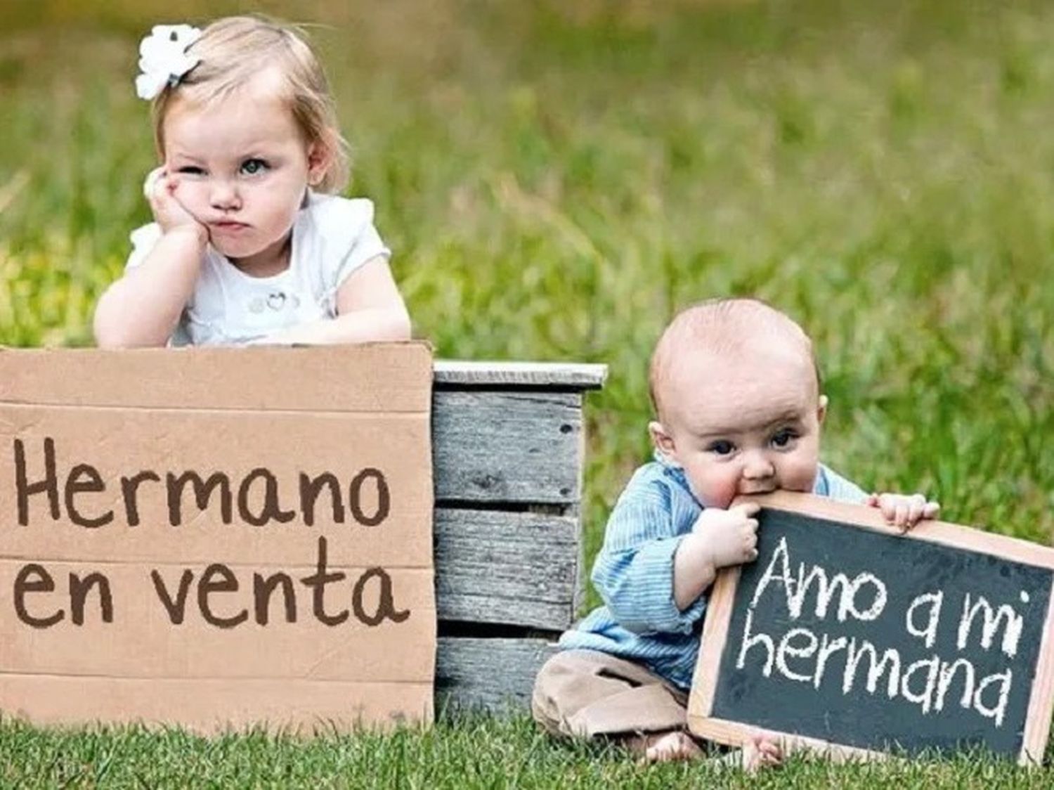 image preview(placeholder)