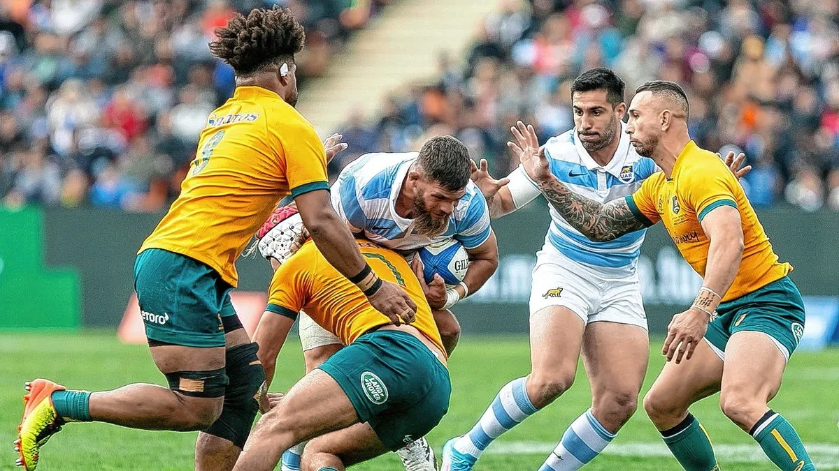 image preview(placeholder)