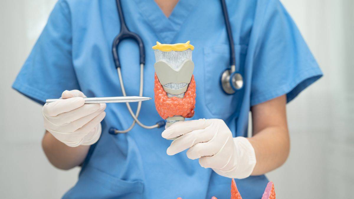 image preview(placeholder)