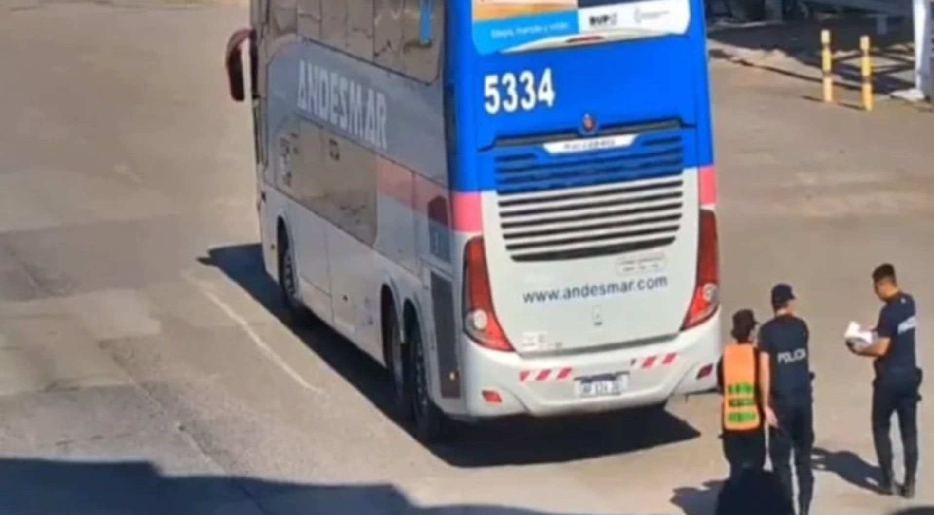 image preview(placeholder)