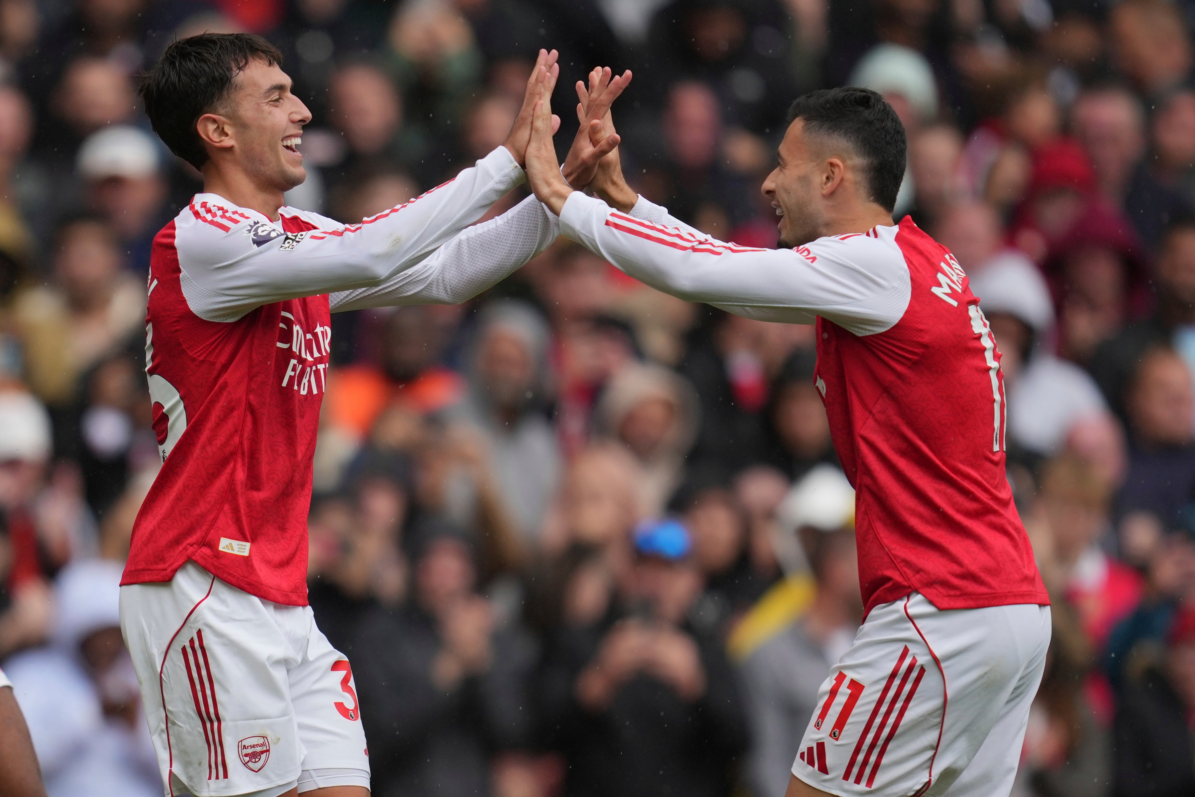 image preview(placeholder)