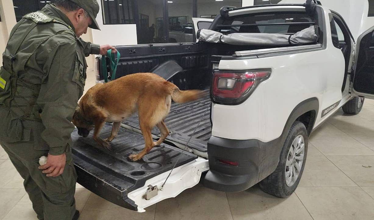 image preview(placeholder)