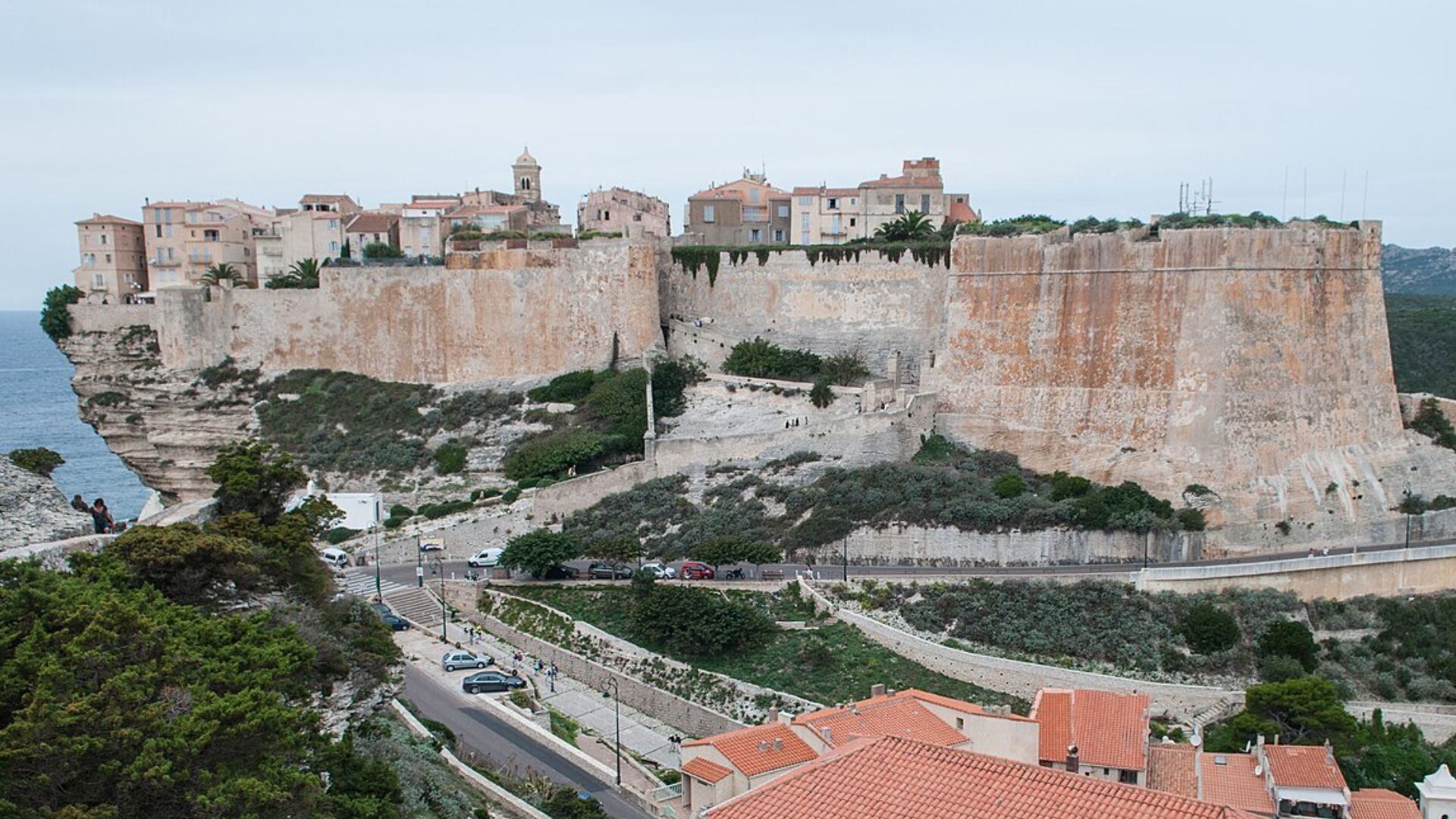 image preview(placeholder)