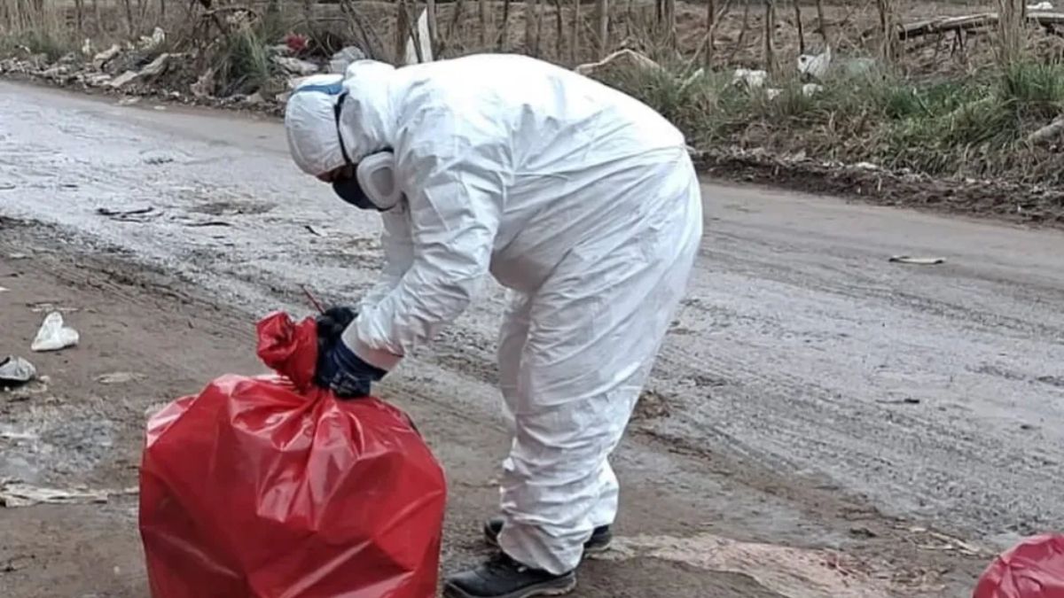 Retiraron 102 kilos de carne podrida tirados en la calle de un barrio