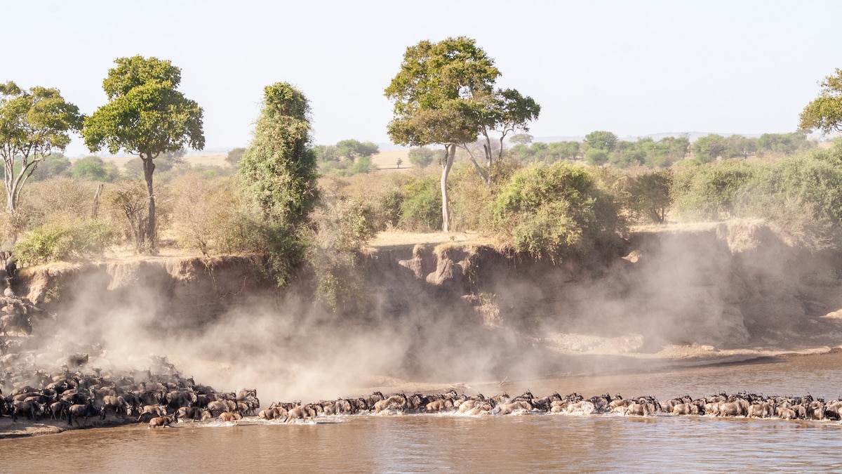 Tanzania: un recorrido por Tarangire, Serengeti y Ngorongoro entre safaris y aldeas