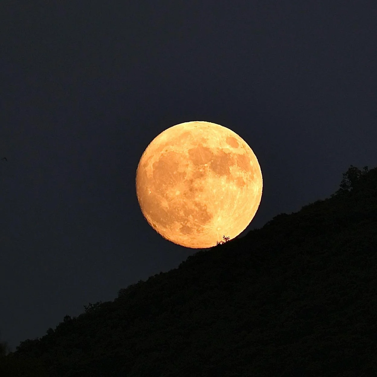 Qué significa soñar con la Luna, según la psicología