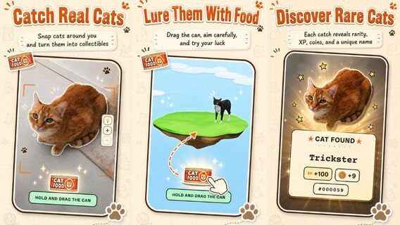 CatchCat: el juego que convierte gatos callejeros en cartas coleccionables