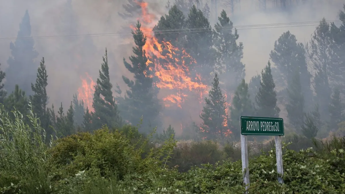 Chubut: viajes a Chile complican a mapuches en la investigación por incendios intencionales