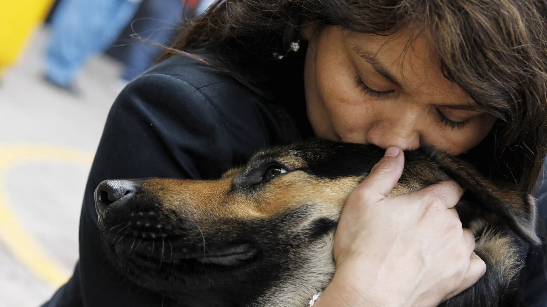 Por qué el vínculo entre humanos y perros es único