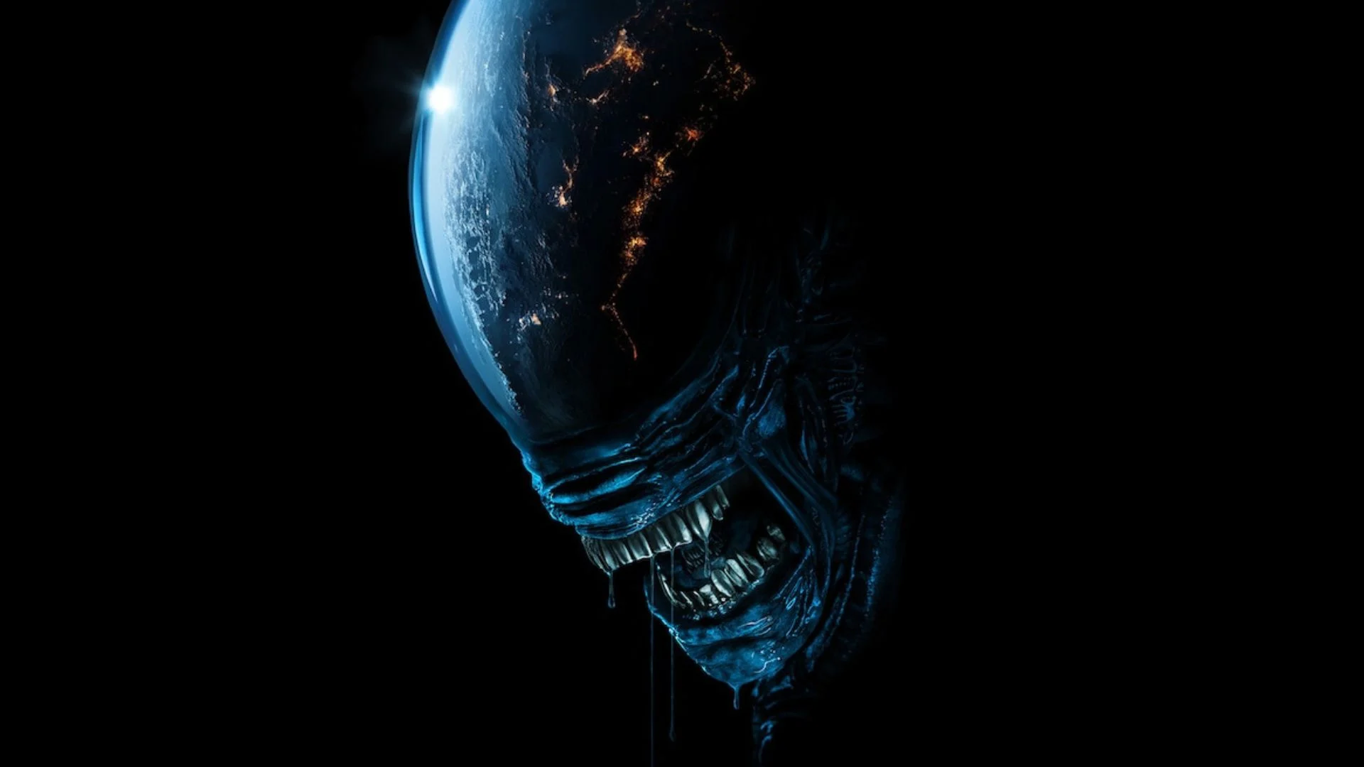 image preview(placeholder)